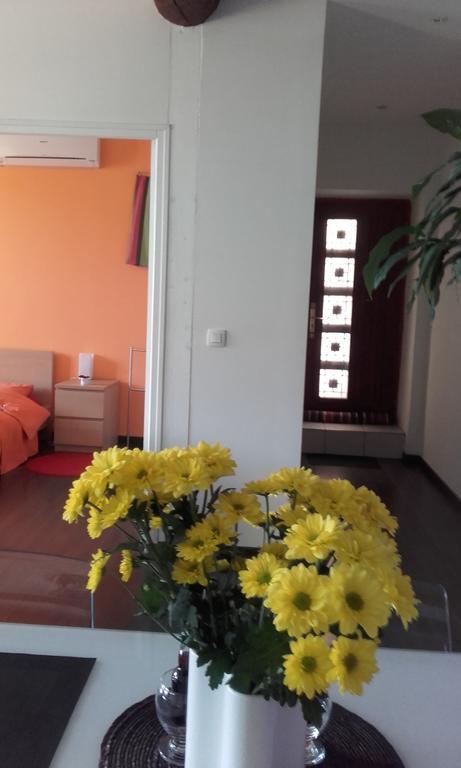 Appartement La Mediterranee Vue Sur Mer Plein Soleil 3 Climatisations Reversibles Port Vendres Exterior photo